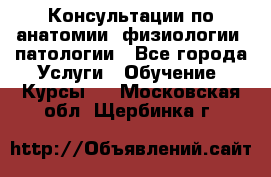 Консультации по анатомии, физиологии, патологии - Все города Услуги » Обучение. Курсы   . Московская обл.,Щербинка г.